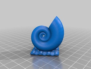 shell matita titolare i contenitori spirale di fibonacci seashell 3d print model - Mito3D