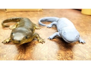 tiger salamander ambystoma tigrinum animals 3d print model - Mito3D