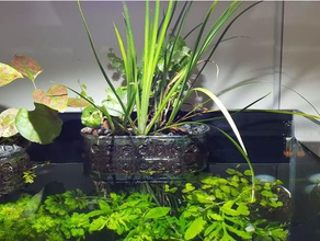 akvaryum bitki askı evcil hayvan aquascaping su bitkileri balık tankı riparium 3d print model - Mito3D