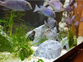 aquarium Dekoration strukturierte fels-Höhle groß Haustiere Aquarien Buntbarsch Fisch fishtank fish tank pleco Reptil Garnelen 3d print model - Mito3D