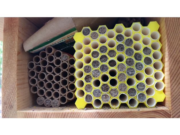 mason bee leafcutter blocks biology leafcutterbee masonbee solitary 3D print model - Mito3D