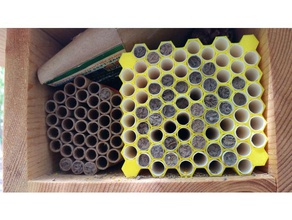 mason de la abeja culona bloques biología leafcutterbee masonbee solitario 3d print model - Mito3D