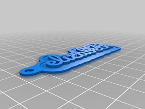 liz Anahtarlık özelleştirilmiş 3d print model - Mito3D