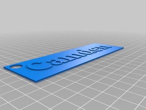 camden name tag 3d printing 3d print model - Mito3D