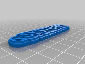 minha personalizado de várias linhas tag porta-chaves chaveiros 3d print model - Mito3D