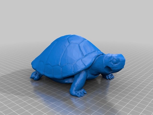 tortoiseturtle pencil holder tool holders boxes 3D print model - Mito3D