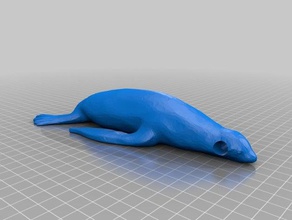 deniz aslanı kalem tutucu aracı sahipleri kutuları 3d print model - Mito3D