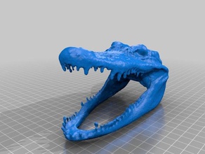 croc 3d animali 3d print model - Mito3D