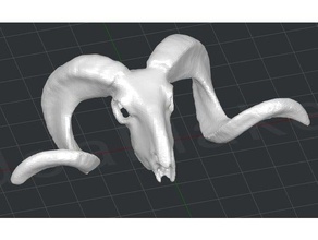sheep ram skull decor animal skulls 3d print model - Mito3D