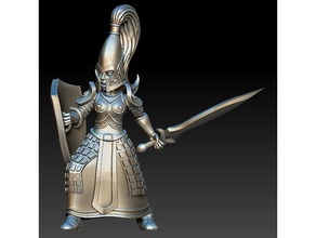 high elf people fantasy guardian miniature sheld sword tabletop warhammer 3d print model - Mito3D