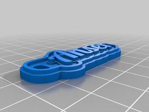 my customized multiline tag keybunch anser keychains 3d print model - Mito3D