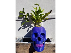 punk cranio piatto all'aperto giardino umano fioriera 3d print model - Mito3D