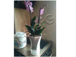 big orchid pot our loved woman household flower vase hydroponic volatilization 3d print model - Mito3D