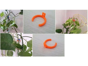 ring holder plastic bottle makewall hanging flower pot decor 3d print model - Mito3D