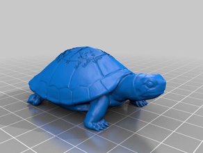 unit circle turtle other math 3d print model - Mito3D