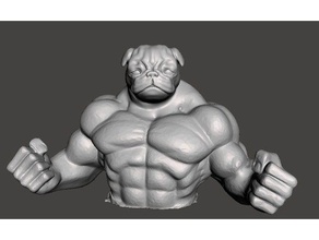 muscle pug other 3d print model - Mito3D