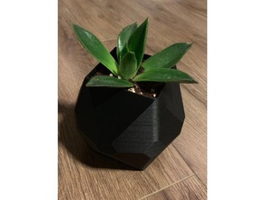 géométrique de la plante en pot décor 3d print model - Mito3D