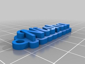 özelleştirilmiş çok satırlı etiket keybunch nisha benim Anahtarlık 3d print model - Mito3D