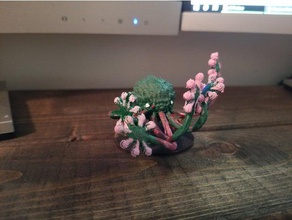drosera iena aragosta i giocattoli giochi dnd in miniatura pathfinder la pianta retrò tavolo 3d print model - Mito3D