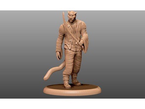 tabaxi sailor tabletop miniature toys games 25mm 28mm boardgame boardgames cat collectible cutlass dnd dungeons dragons fantasy feline figurine khajiit man model pathfinder pirate rogue sword warhammer 3d print model - Mito3D