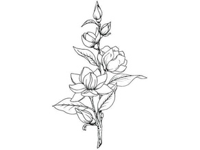 magnolia flowers 2d art 3d print model - Mito3D