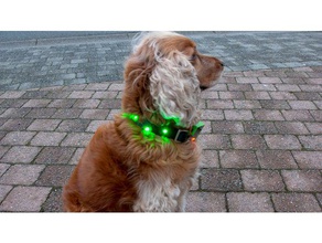 caso microbit colorido collar de perro proyecto a los animales diy 3d print model - Mito3D
