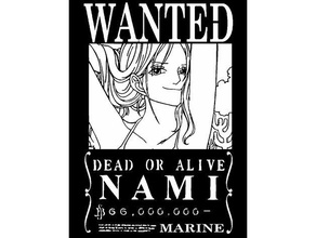wanted poster nami 2d art anime onepiece one piece stencil 3d print model - Mito3D