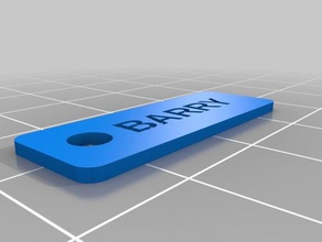 ma personnalisé keychain barry porte-clés 3d print model - Mito3D