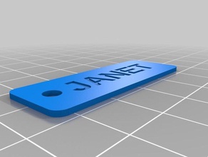 mi llavero personalizado janet llaveros 3d print model - Mito3D