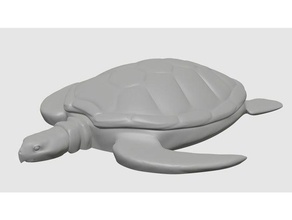 sea turtle animals blender figure ocean realistic 3d print model - Mito3D