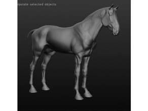 horse model sculptures 3d print model - Mito3D