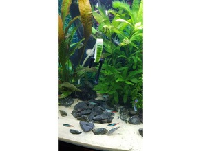 fish tank aquarium cucumbervegetable hook pets buoyancy feeder floating pet rock 3d print model - Mito3D