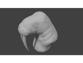 sehr ernst Pazifischen walross-Büste Tiere 3d print model - Mito3D