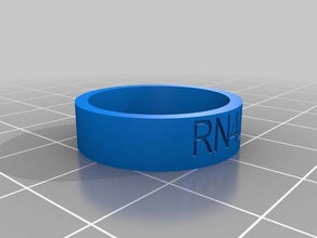raiders rn4l anillo los anillos personalizado 3d print model - Mito3D