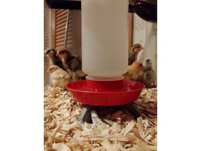 miller ile boncuk küçük dev model 740 hatun waterer stand kümes hayvanları evcil hayvan tavuk kızlar besleyici çeşme tavuklar pullet 3d print model - Mito3D