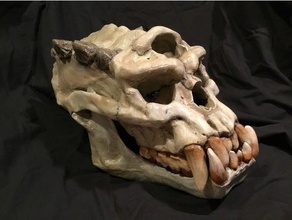 troll skull animals elder scrolls skulls skyrim 3d print model - Mito3D