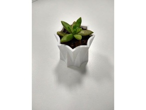 geometrik pot yıldız açık bahçe kaktüs iş ortamına uygun olmayan plantpot succulents 3d print model - Mito3D