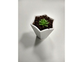 etli tencere 6 puan açık bahçe iş ortamına uygun olmayan plantpot succulents 3d print model - Mito3D