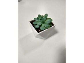 succulent pot squarely outdoor garden plantpot succulents 3d print model - Mito3D