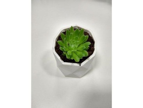 succulent pot pyramides plein air jardin plantpot 3d print model - Mito3D