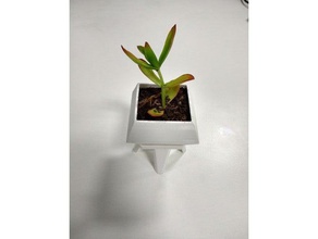 succulent pot de diamant deux pièces plein air jardin les plantes grasses 3d print model - Mito3D
