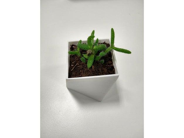 succulent pot square twist outdoor garden plantpot succulents 3D print model - Mito3D