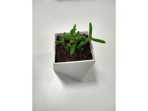 succulent pot carré de torsion plein air jardin plantpot les plantes grasses 3d print model - Mito3D