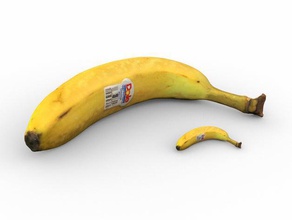 banana escala varreduras réplicas Digitalização em 3d 3dscan nextengine 3d print model - Mito3D