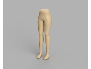 alt ekstremite 3d baskı vücut insan vücudu lowerlimb 3d print model - Mito3D