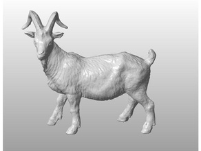 Ziege-scan Tiere 3d print model - Mito3D