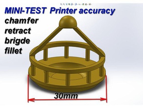mini-test-Genauigkeit testen 3d drucken tests Brücke Rückzug-test 3d print model - Mito3D