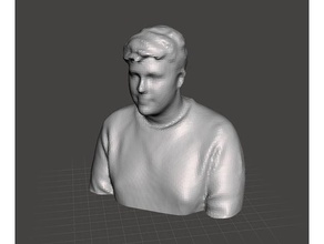 3d scan me upper torso shoulders head scans replicas scanner human male sense 3d print model - Mito3D