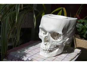 crânio cinzeiro varreduras réplicas uma tigela de doces a tomografia computadorizada decorativos 3d print model - Mito3D