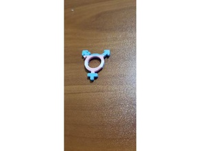 transflag trans symbol keychains multimaterial transgender 3d print model - Mito3D